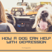 How A Dog Can Help With Depression