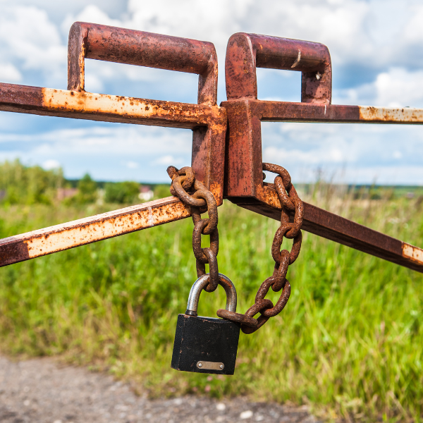 More Than Medicine | Breaking Barriers in Bladder Cancer Care