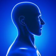 An Introduction to Head & Neck Cancer