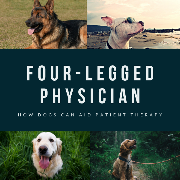 Four-Legged Physicians: How Dogs Can Aid Patient Therapy