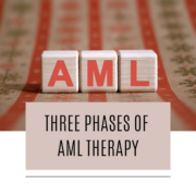 Three Phases of AML Therapy