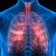 5 Easy Ways to Improve Your Lung Health