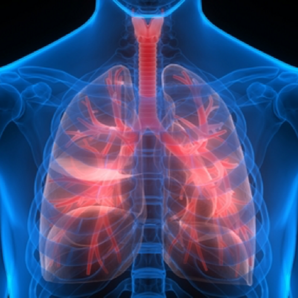 5 Easy Ways to Improve Your Lung Health