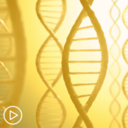 What Is Next Generation Sequencing for MPNs?