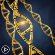Which Gene Mutations Impact Myelofibrosis Treatment Options?
